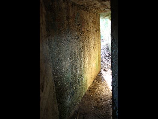 Wn307 Fort des Rochers du Var ou Fort St Martin.