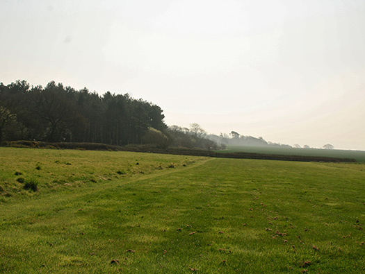 RAF Lymington ALG