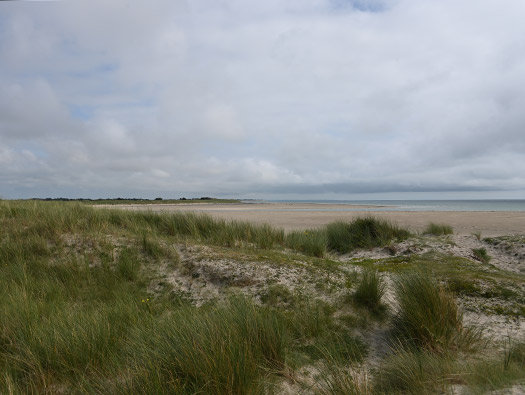 Wn333 St Remy des Landes Plage