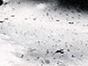High level Flak, the guns are 12.5cm a very powerful and heavy shell which when it burst would throw out hundreds of pieces of sharp metal that could just cut its way through an aluminum skis of an airplane.