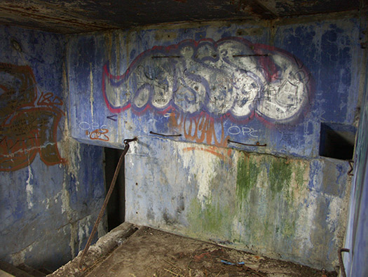 Wn241 Le Fort de Digosville (Fort des Roches)