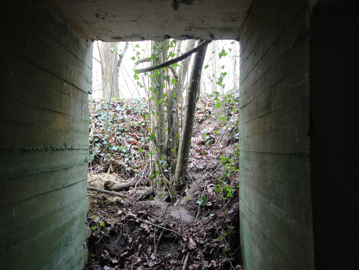 Führerhauptquartier ‘Wolfsschlucht 2’ Flakstellung ‘7’