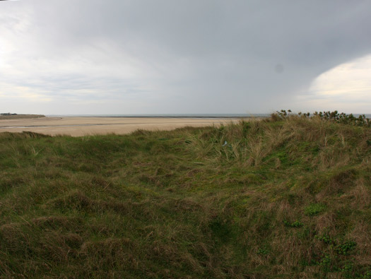 Wn333 St Remy des Landes Plage