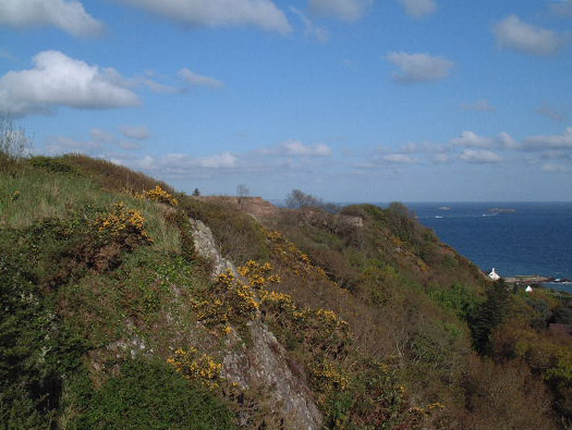 Wn241 Le Fort de Digosville (Fort des Roches)