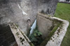 The water looking tank??