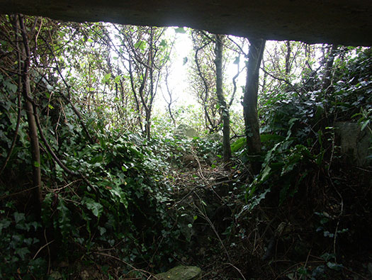 Wn60 Colleville-sur-Mer, (Omaha Beach)