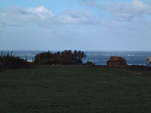 Wn349 Auderville la Roche, Luftwaffe station "Ammer".