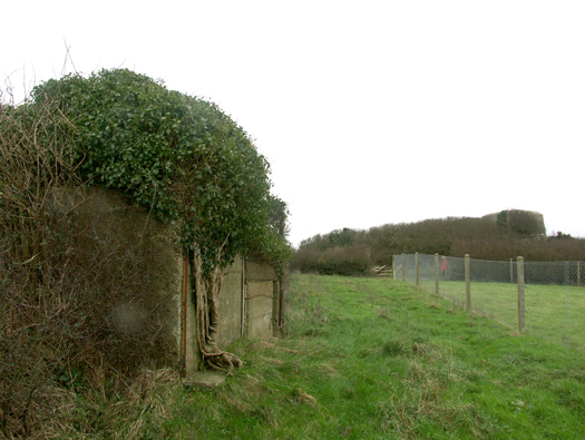Wn346 Les Asselins la Gouinerie, Omonville la Rogue