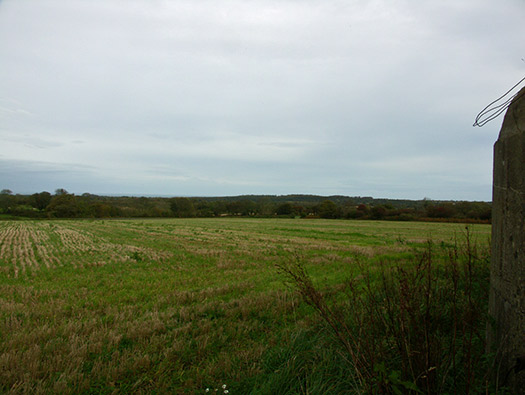 Wn414 Sud de la Rue
