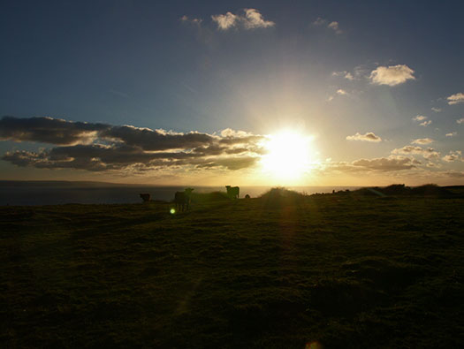 RAF Cleave