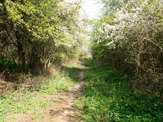 RAF Turweston