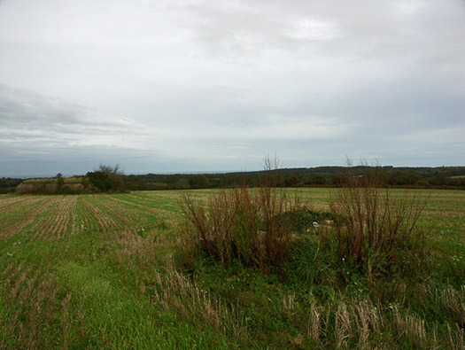 Wn414 Sud de la Rue