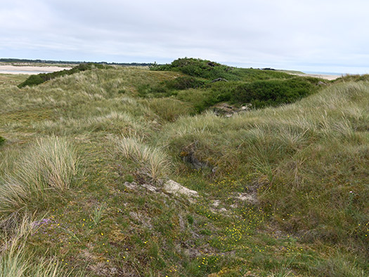 Wn333 St Remy des Landes Plage