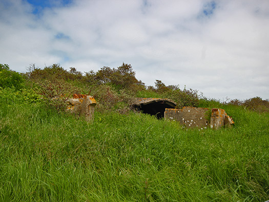 Wn 'Rosamunde'
