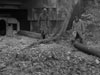 Wn48 Longues-sur-Mer M.K.B.