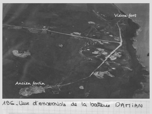 Ro227 Pte de Queille 'Damian'