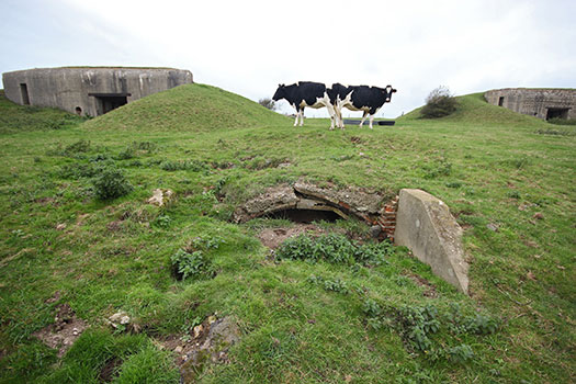 StP Ruine, Mont de Neufchâtel.