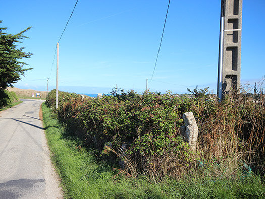Wn400 Inglemare