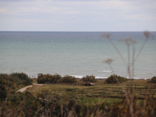 Wn35 Ver-sur-Mer, le Marais
