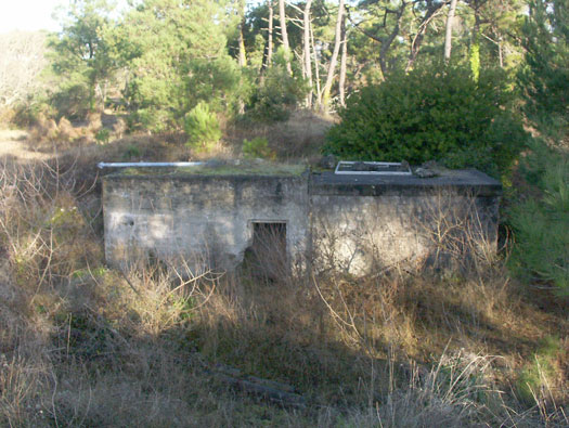 Ro425 ´Kora´, Ro429 'Korola', Ro424 'Käthe', Ile de Ré