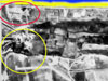 Wn66 - Red.
Wn67 - Yellow.