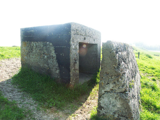 Wn99 Brévands le Châlet