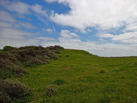 Wn 'Rosamunde'