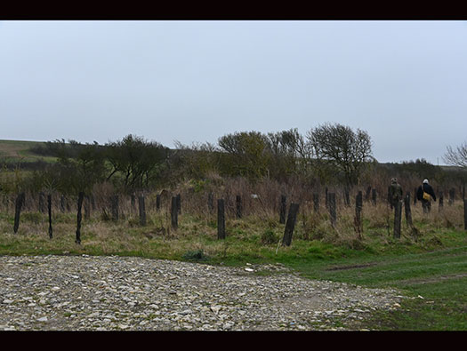 StP Beauregard, Stab. Gren. Reg.150, Camiers