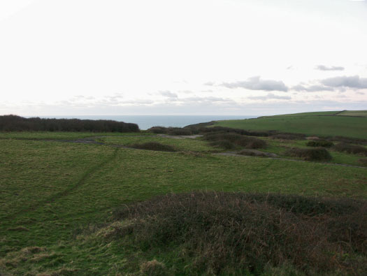 RAF Cleave