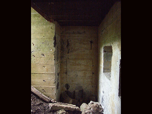 Die010 Mont Robin