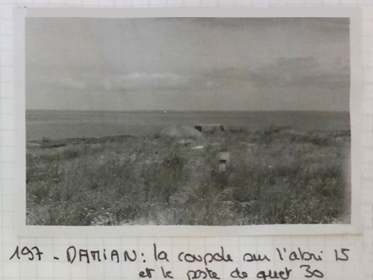 Ro227 Pte de Queille 'Damian'