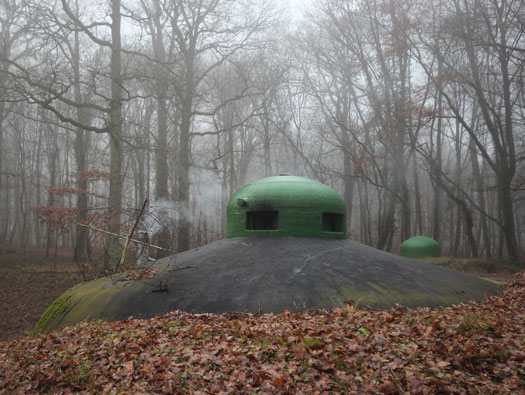 Bois de Boussé (A24), Ligne Maginot 