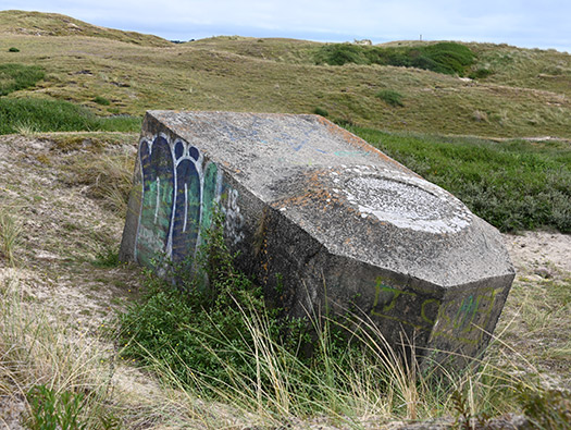 Wn333 St Remy des Landes Plage