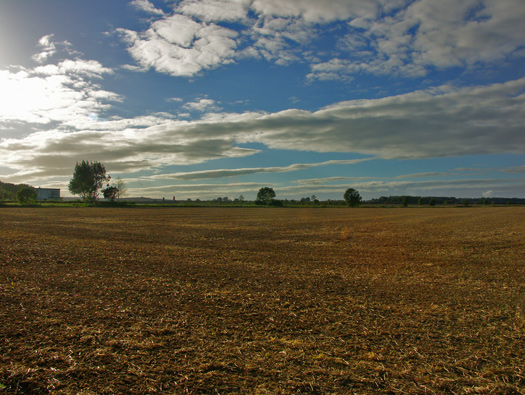 RAF Zeals