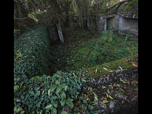 Führerhauptquartier ´Wolfsschlucht 2´ Flakstellung ´B´