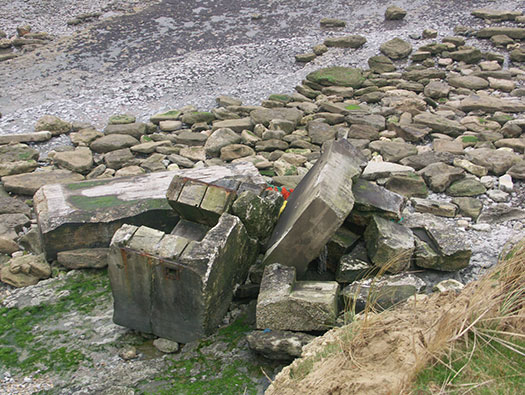StP207 Fischreiher