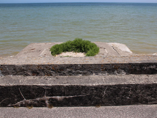 StP16 Hameau du Nord - Fort Pongibaud
