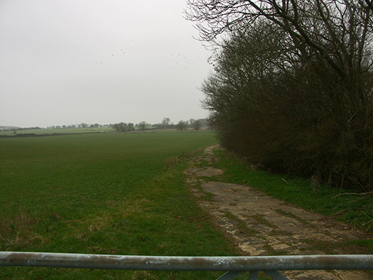 RAF Babdown Farm RLG