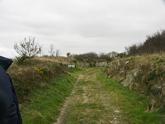 Wn241 Le Fort de Digosville (Fort des Roches)