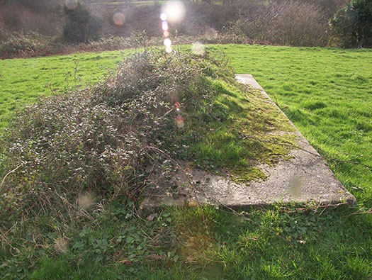 Wn165 Cosqueville étang du Pelat