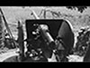 7.5cm F.K.231(f).