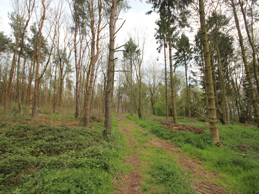 RAF Finmere Part 1