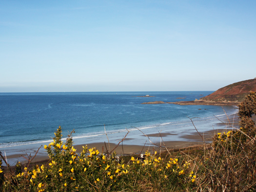 Wn311 Ecalgrain plage