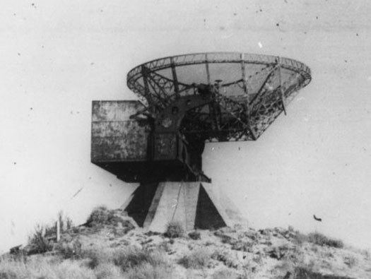 Ro425 ´Kora´, Ro429 'Korola', Ro424 'Käthe', Ile de Ré