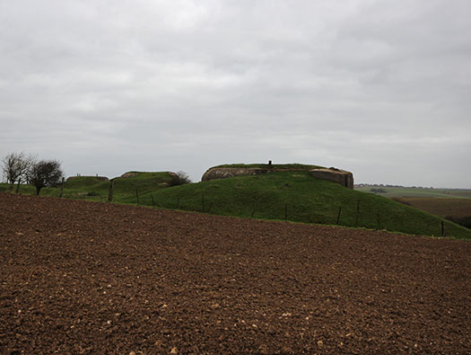 StP Ruine, Mont de Neufchâtel.
