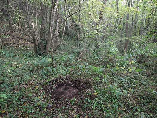 Führerhauptquartier ‘Wolfsschlucht 2’ Flakstellung ‘7’