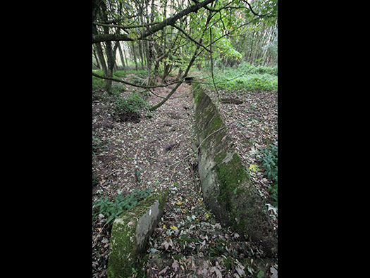 StP Ruin, Mont de Neufchâtel, Pas-De-Calais. PART 2