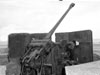 You can see from this view that its a 5cm KwK gun.