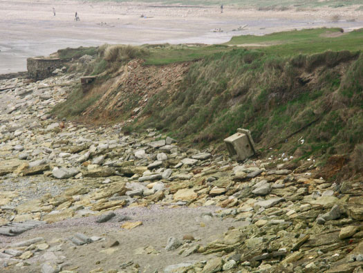 StP207 Fischreiher