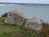 Dragons teeth.